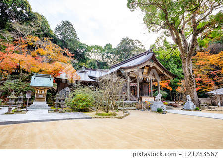 Autumn at Kamado Shrine, Dazaifu City, Fukuoka Prefecture 121783567
