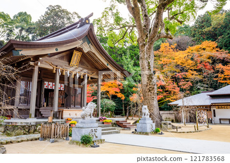 Autumn at Kamado Shrine, Dazaifu City, Fukuoka Prefecture 121783568