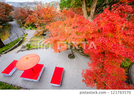 秋季灶門神社 福岡縣太宰府市 121783570