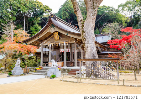 秋季灶門神社 福岡縣太宰府市 121783571