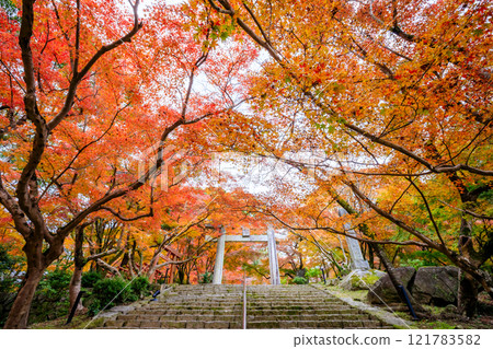 秋季灶門神社 福岡縣太宰府市 121783582