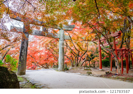 Autumn at Kamado Shrine, Dazaifu City, Fukuoka Prefecture Autumn at Kamado Shrine, Dazaifu City, Fukuoka Prefecture 121783587