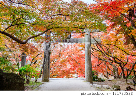 Autumn at Kamado Shrine, Dazaifu City, Fukuoka Prefecture Autumn at Kamado Shrine, Dazaifu City, Fukuoka Prefecture 121783588