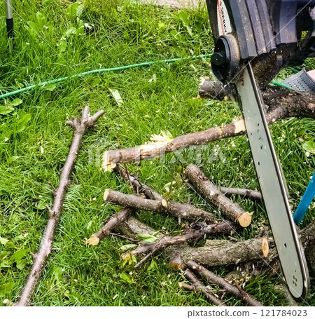 A man cuts down a tree with an electric saw. Sawdust flies in all directions from the chainsaw. Cutting wood with a chain saw 121784023