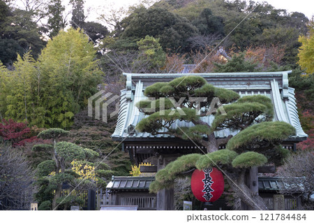 Red Giant Lantern at the Front gate of Hasedera Temple in Kamakura. Red Giant Lantern at the Front gate of Hasedera Temple in Kamakura. 121784484