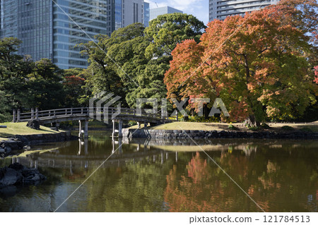 Japan, Tokyo, Hamarikyu Garden in momiji season. 121784513