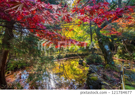 Shohoji Temple Garden, Narutaniyama Shohoji Temple, famous for autumn leaves, Inabe City, Mie Prefecture 121784677