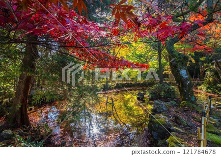 Shohoji Temple Garden, Narutaniyama Shohoji Temple, famous for autumn leaves, Inabe City, Mie Prefecture 121784678