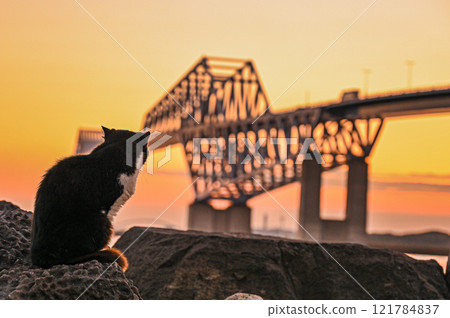Sunset gates at Tokyo Gate Bridge Sunset gates at Tokyo Gate Bridge 121784837