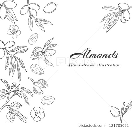 Decorative border with almond nuts, leaves and flowers . Hand-drawn almond blossom tree branch in sketch style. 121785051