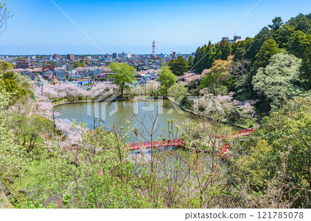 Cherry blossoms in full bloom at Mobara Park (Mobara City, Chiba Prefecture) - One of Japan's Top 100 Cherry Blossom Spots 121785078