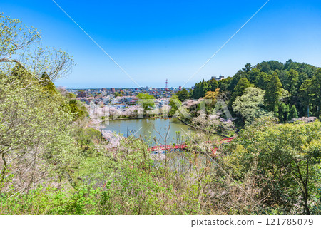 櫻花盛開，茂原公園（千葉縣茂原市），日本百選賞櫻勝地 121785079