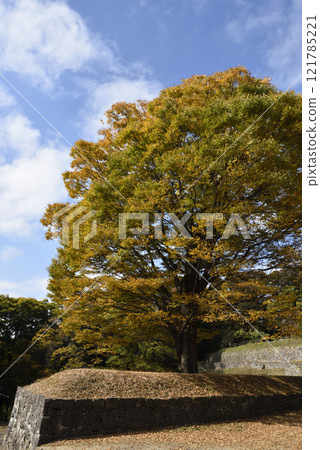 Kanayama, mountain climbing, Gunma Prefecture 121785221