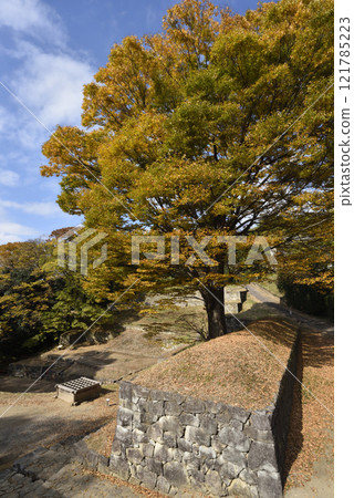 Kanayama, mountain climbing, Gunma Prefecture 121785223
