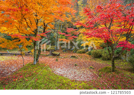 [上正寺]枯山水庭園[木曾區奧輪村] 121785503