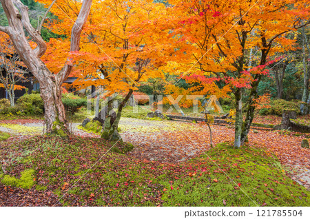 [Joshoji Temple] Dry landscape garden [Okusa Village, Kiso District] 121785504