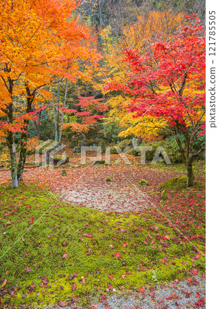 [Joshoji Temple] Dry landscape garden [Okusa Village, Kiso District] 121785505