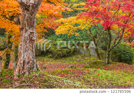 [Joshoji Temple] Dry landscape garden [Okusa Village, Kiso District] 121785506