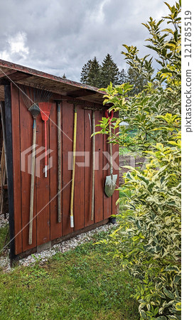 Collection of gardening tools, including rakes and shovel, neatly hanging on rustic wooden shed wall, surrounded by lush greenery and natural outdoor setting 121785519