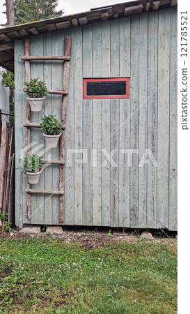 Rustic wooden shed with weathered teal planks, featuring handmade wooden ladder holding potted plants for a charming garden aesthetic 121785521