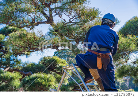 修剪松樹的園丁 121786072
