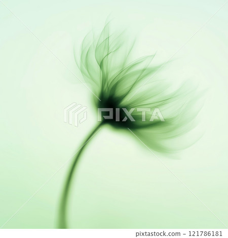 Sunflower with green and yellow petals moving in the wind. Abstract soft blurred natural background Sunflower with green and yellow petals moving in the wind. Abstract soft blurred natural background 121786181