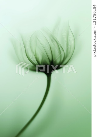 Sunflower with green and yellow petals moving in the wind. Abstract soft blurred natural background Sunflower with green and yellow petals moving in the wind. Abstract soft blurred natural background 121786184