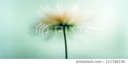Sunflower with green and yellow petals moving in the wind. Abstract soft blurred natural background Sunflower with green and yellow petals moving in the wind. Abstract soft blurred natural background 121786190