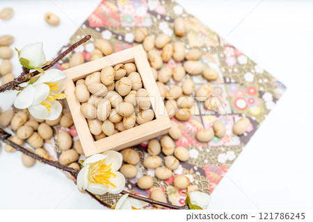 Beans of Setsubun 121786245