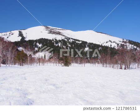 從白雪皚皚的尾瀨原眺望志佛山 從白雪皚皚的尾瀨原眺望志佛山 121786531