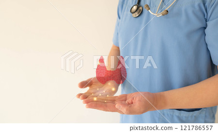 Thyroid gland anatomy on doctor hands. Awareness of thyroid disease such as hyperthyroidism hypothyroidism thyroiditis and Hashimoto thyroiditis. World thyroid day. 121786557