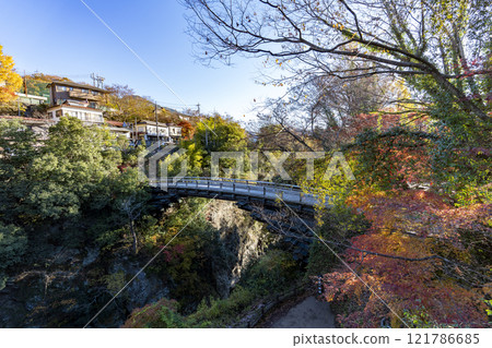 Autumn leaves of Saruhashi Autumn leaves of Saruhashi 121786685