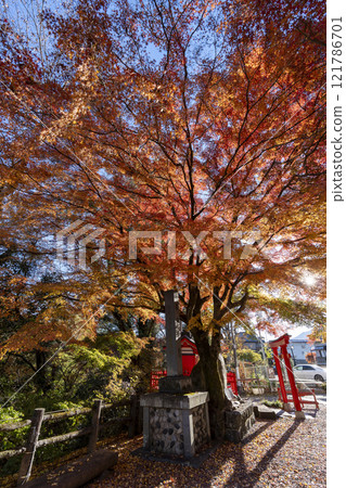 Autumn leaves of Saruhashi Autumn leaves of Saruhashi 121786701