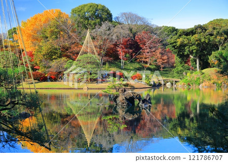 [東京]晴朗的日子裡六義園的對稱秋葉 121786707