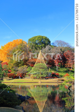 [Tokyo] Symmetrical autumn leaves at Rikugien Garden on a clear day 121786710
