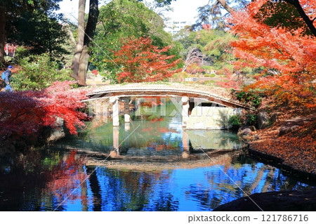 [東京]晴朗的日子裡六義園的對稱秋葉（千鳥橋） 121786716