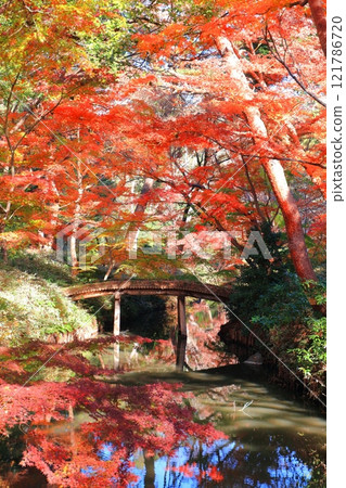 [東京]山陰橋和六義園的紅葉 121786720