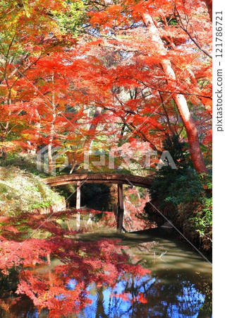 [東京]山陰橋和六義園的紅葉 121786721