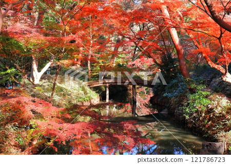 [東京]山陰橋和六義園的紅葉 121786723