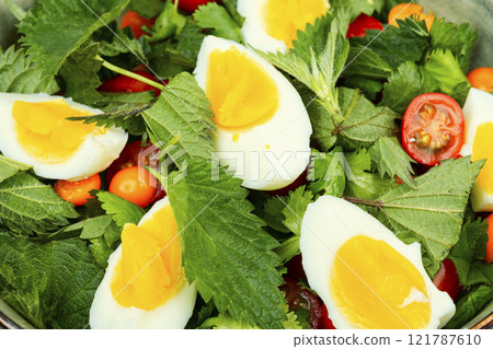 Fresh nettle salad with egg. 121787610