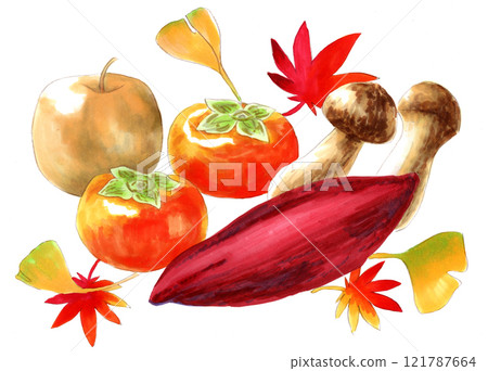 Hand-drawn delicious autumn flavors: sweet potato, persimmon, pear, matsutake mushroom Hand-drawn delicious autumn flavors: sweet potato, persimmon, pear, matsutake mushroom 121787664