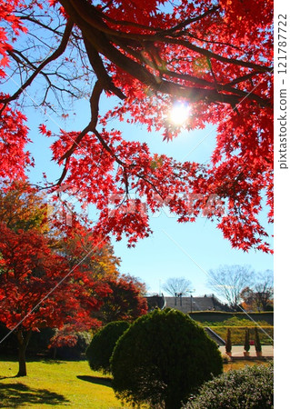 Momige which turned red in red 121787722