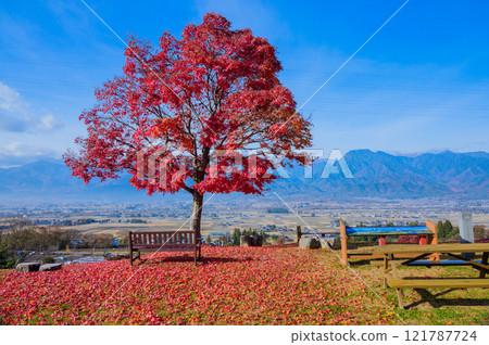 深秋的安曇野【拍攝於安曇野池田工藝公園】 121787724