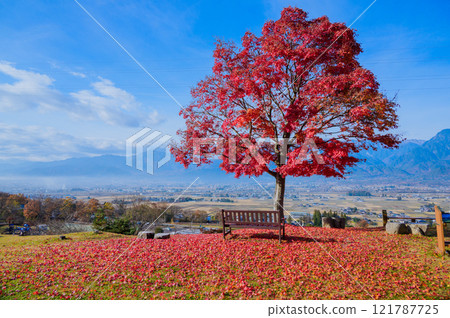 Azumino in late autumn [Photo taken from Azumino Ikeda Craft Park] 121787725