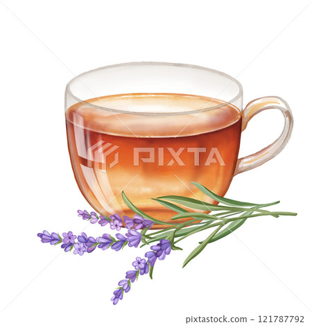 Lavender tea in cup and flowers. Food illustration with calming antistress herbal drink. 121787792