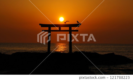 Sunrise at Oarai Isozaki Shrine Sunrise at Oarai Isozaki Shrine 121788223