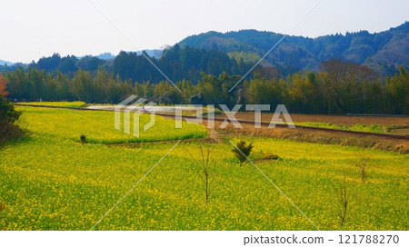 納米石上花園和火車 121788270