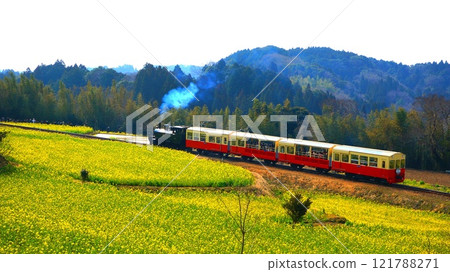 Ishigami Nano Flower Field and Train Ishigami Nano Flower Field and Train 121788271