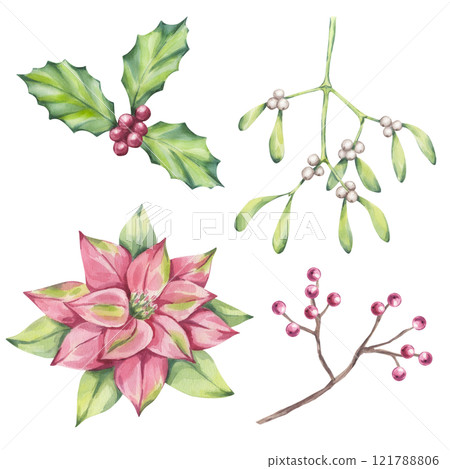 Traditional Christmas plants pink red poinsettia mistletoe holly ilex, winter flower, berries, leaves. New Year decoration. Hand drawn watercolor illustration isolated on white background. 121788806