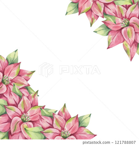 Poinsettia pink red corner frame, winter flower with leaves. Traditional plant for Christmas decoration. Happy New Year! Hand drawn watercolor illustration isolated on white background. 121788807